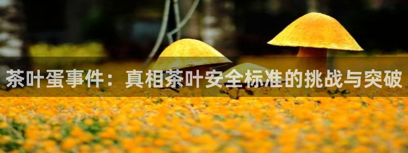 鸿运集团平台官网