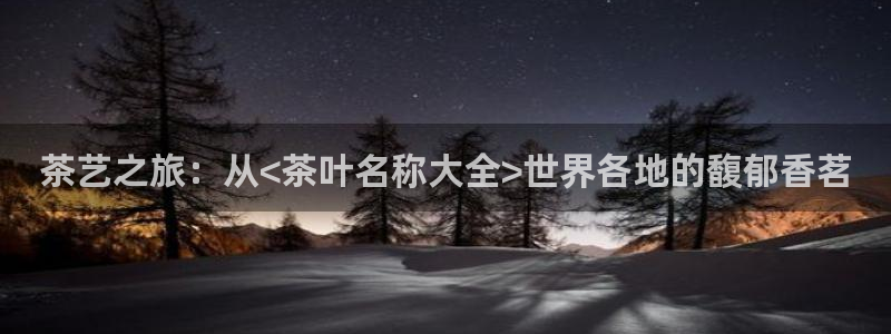 鸿运国际平台
