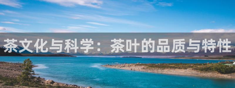 鸿运当头社交平台