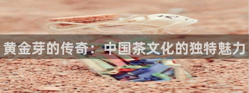 鸿运牛骨服务平台