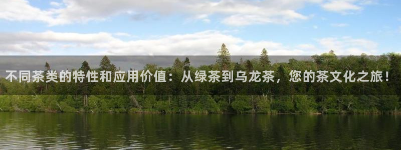 中国鸿运是什么平台