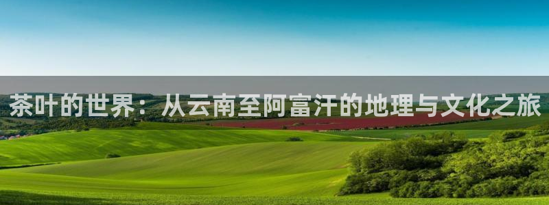 鸿运集团平台招聘信息