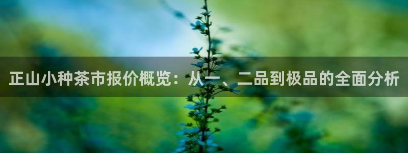 鸿运北斗监控平台