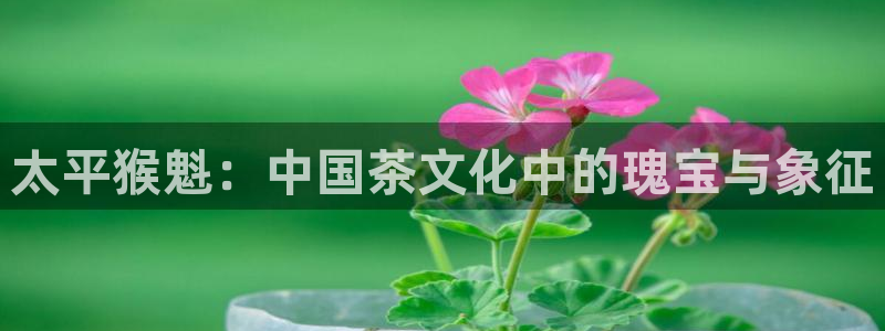 鸿运外贸直播平台