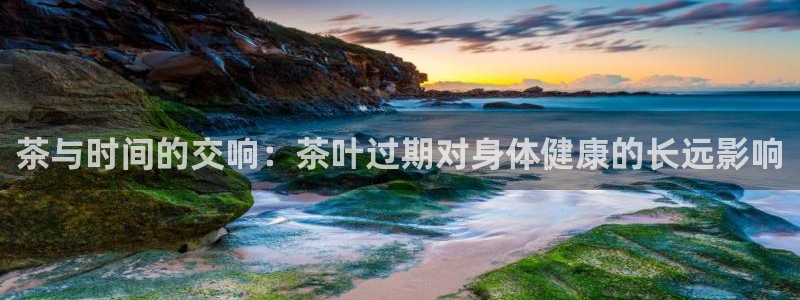 鸿运购平台