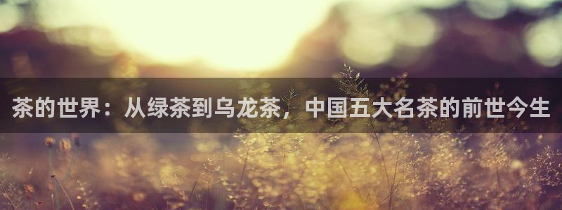 鸿运达出票平台