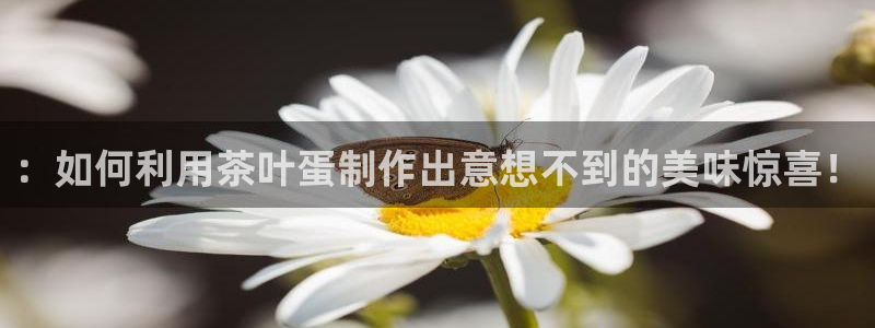 鸿运平台代理理