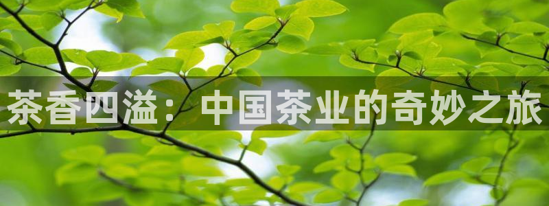 鸿运平台app