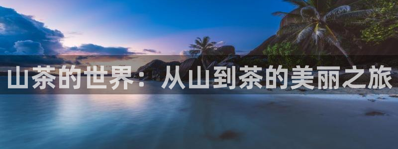 鸿运金融平台