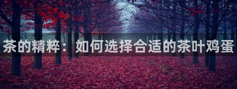 鸿运28平台