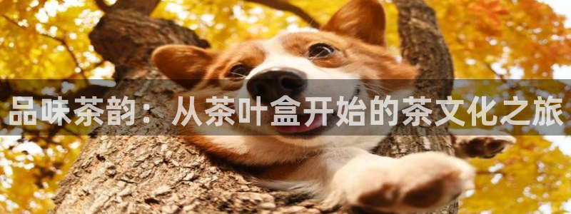 鸿运当头翡翠平台