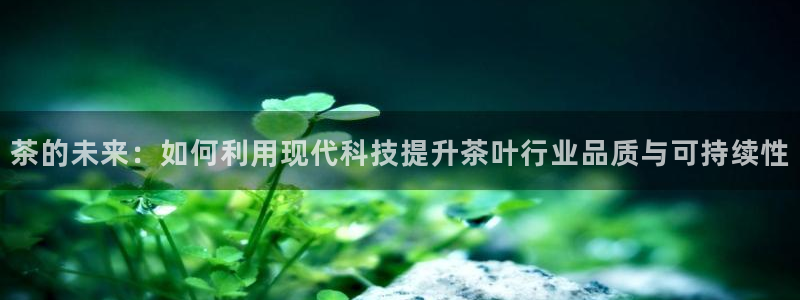 鸿运彩票专业平台