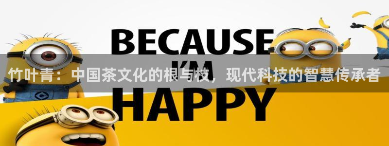 鸿运华宁技术平台