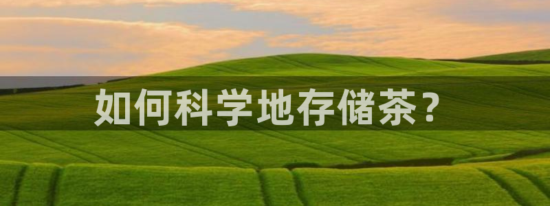 琥珀鸿运平台推广码