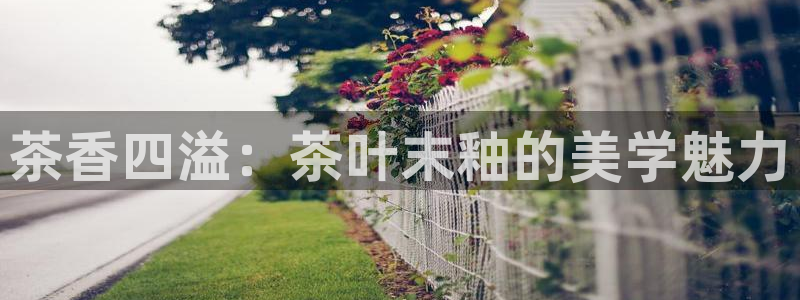 鸿运国际平台代理