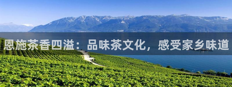 鸿运卡盟登录平台