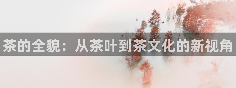 鸿运商城平台