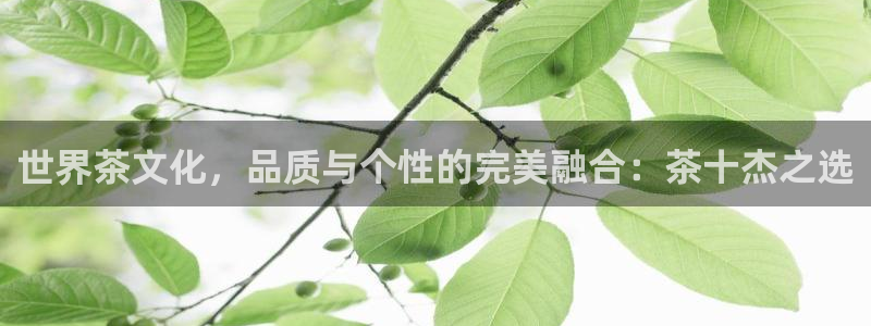 鸿运牛蹄团购平台
