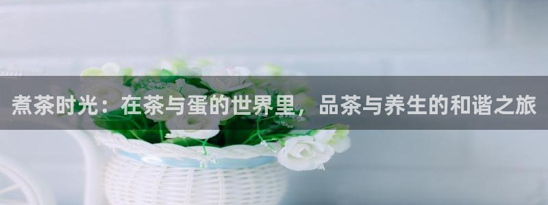 鸿运代拍平台