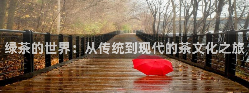 彩鸿运平台