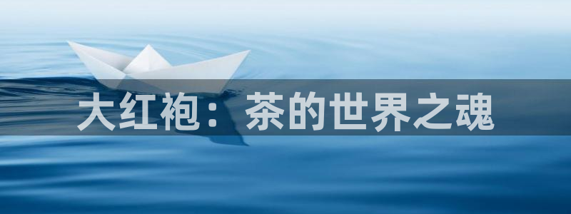 鸿运国际外汇平台