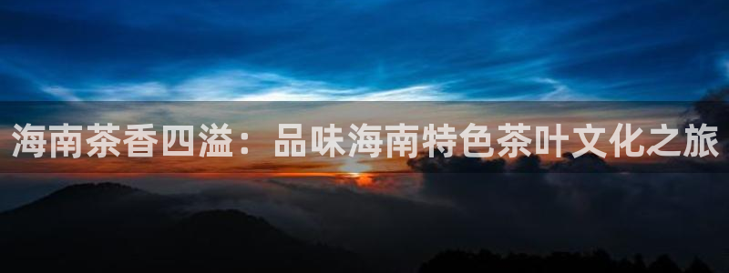 铜陵鸿运拍卖平台