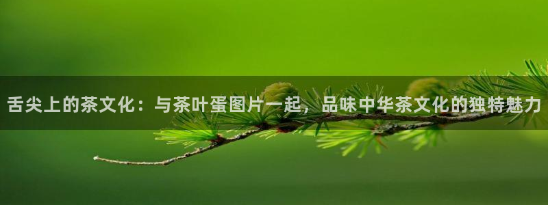 鸿运兄弟创造平台