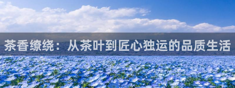 长鸿运营平台