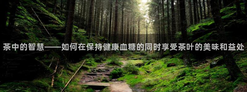 鸿运茶叶平台被骗