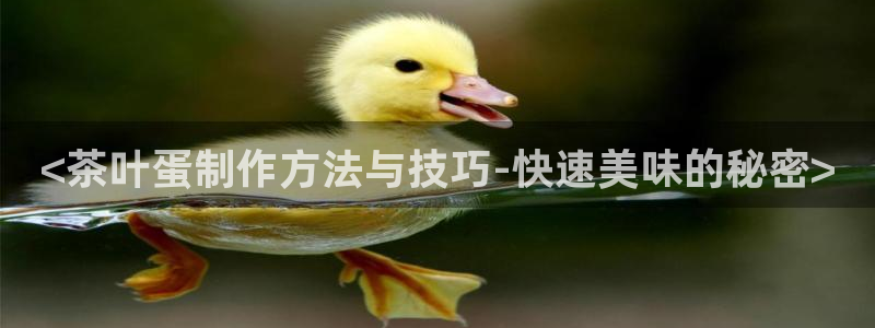 鸿运彩app平台