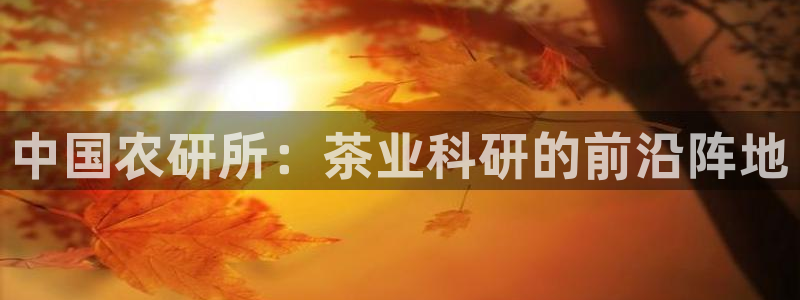 鸿运来手游平台