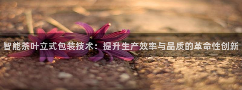 琥珀鸿运平台怎样赚钱的
