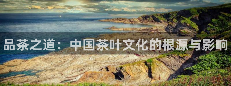 鸿运管理平台