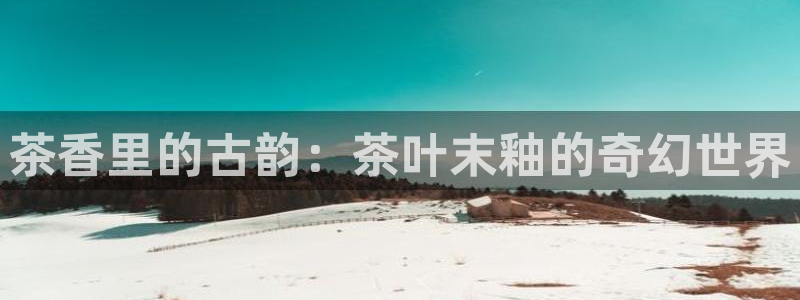 鸿运平台平