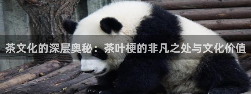 鸿运app是什么平台