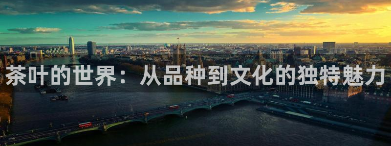 鸿运卡盟登录平台