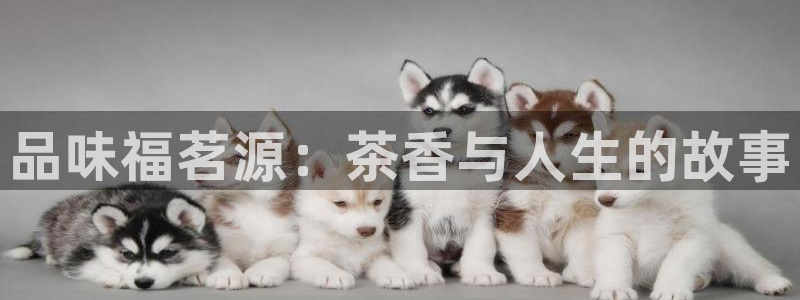 鸿运平台是干嘛的
