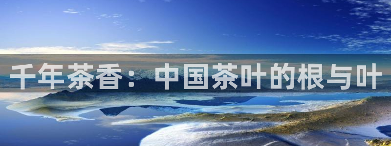 鸿运平台刷在线率