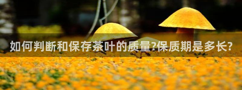鸿运通宝平台
