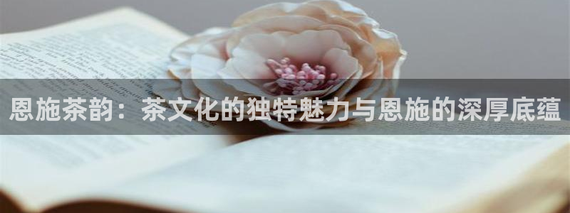 鸿运来是什么平台