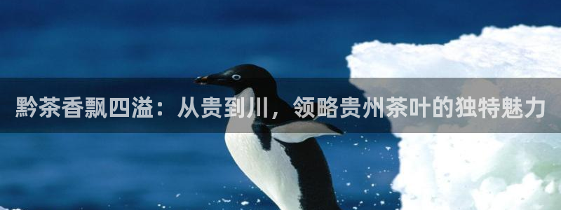 鸿运抽奖是什么平台