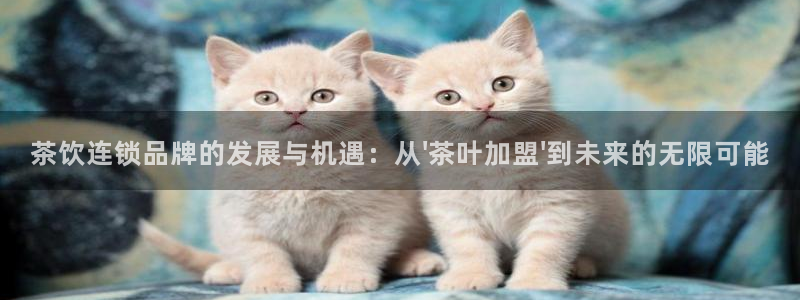 琥珀鸿运平台怎么提现