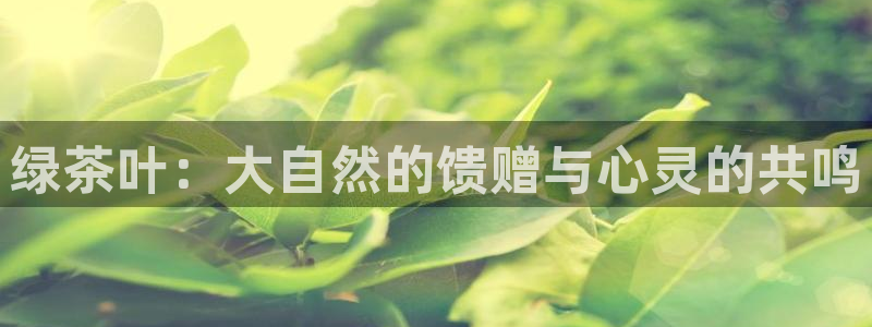 鸿运彩票平台怎样下载
