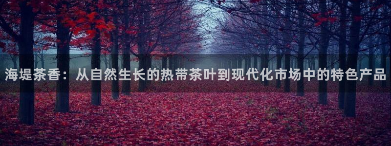 铜陵鸿运拍卖平台