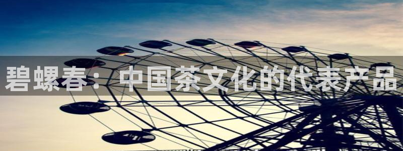 鸿运物流信息平台