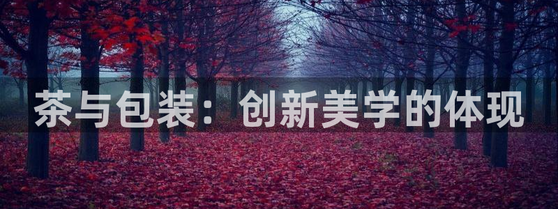 鸿运国际时时彩平台