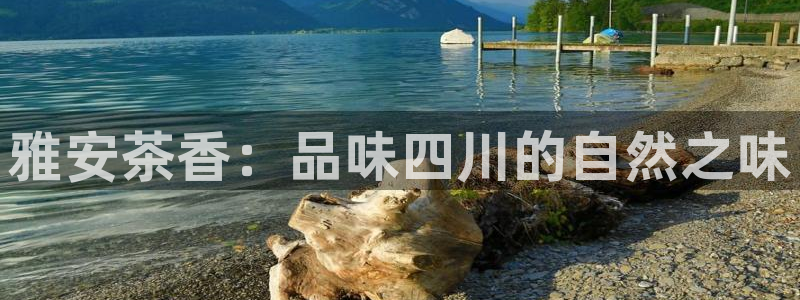 鸿运平台是大平台吗