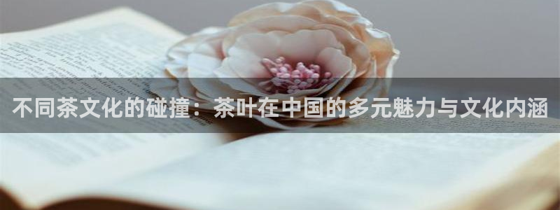 手机版鸿运平台