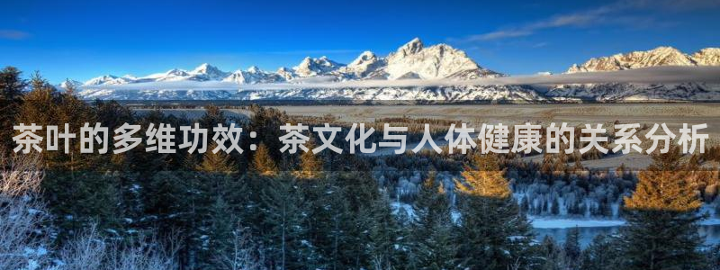 鸿运在线投资平台