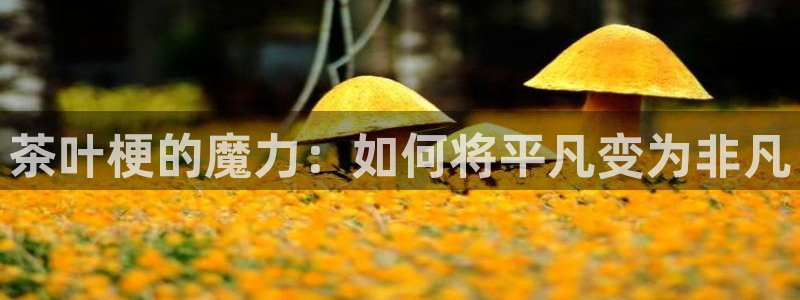 鸿运平台兼职招聘